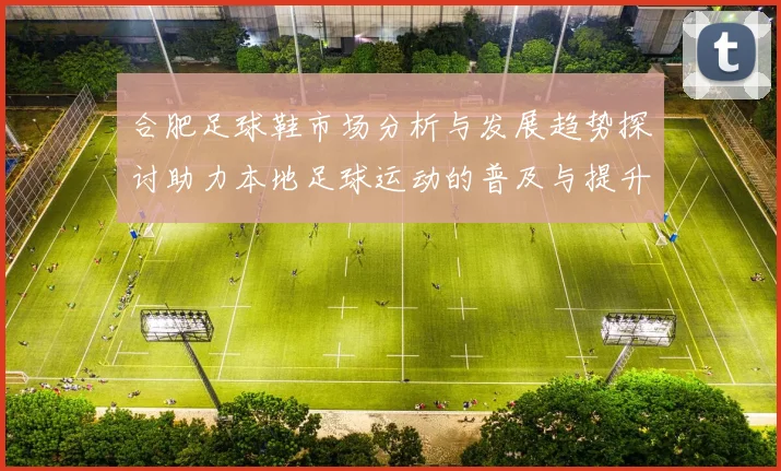 合肥足球鞋市场分析与发展趋势探讨助力本地足球运动的普及与提升