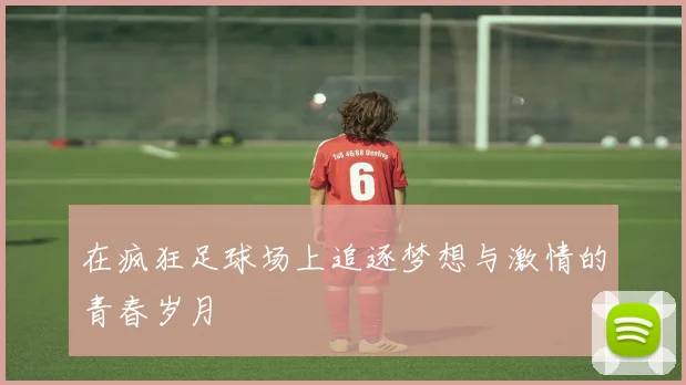 在疯狂足球场上追逐梦想与激情的青春岁月